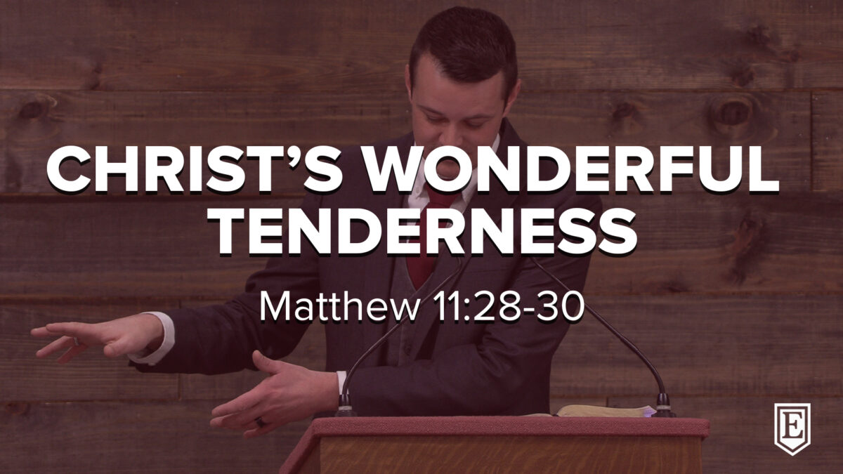 CHRIST’S WONDERFUL TENDERNESS: Matthew 11:28-30